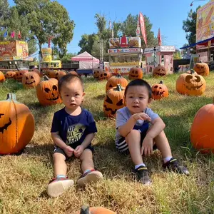 Brain-EXPRESS shop logo