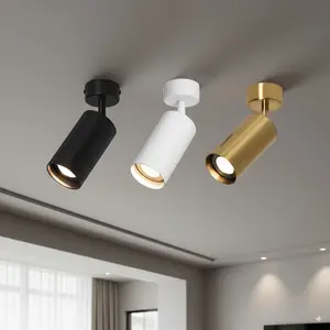 Surface Mounted Gold// Recessed Light, Adjustable 360° Downlight, Retail Store Display Spotlight, Commercial Lighting, Gu10 Base