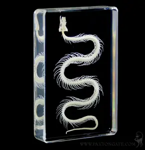 Snake Skeleton in Acrylic