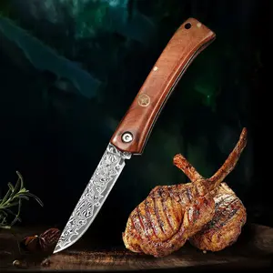 Sharp steak knife Damascus steel blade for cutting meat and fish kitchen knife gift