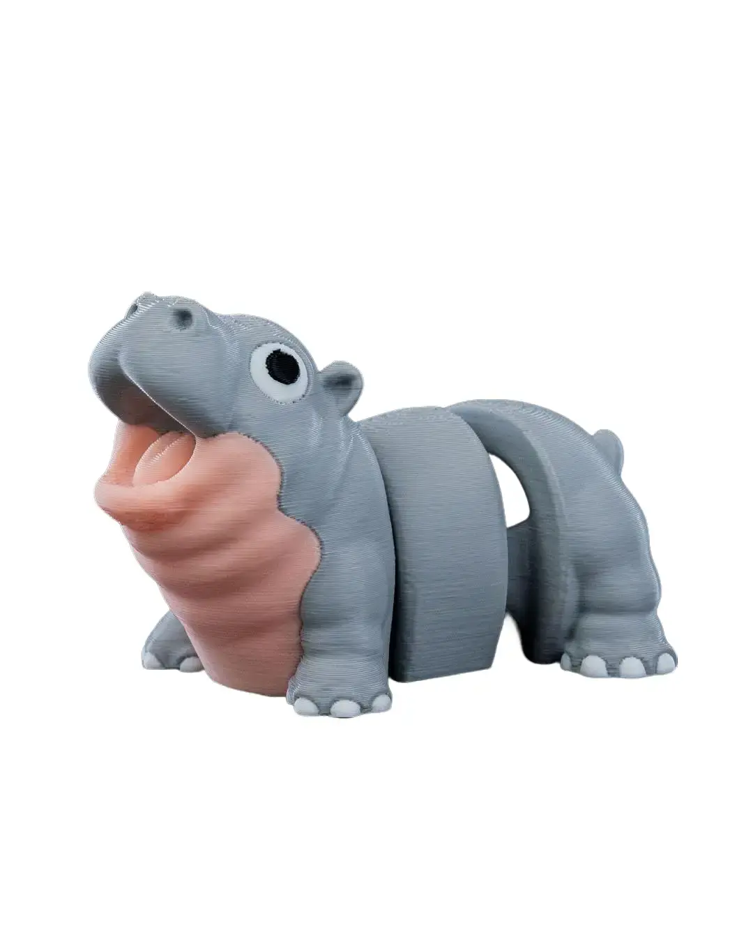 Merry Baby Hippo Fidget Toy
