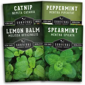 Mint Collection - Peppermint, Spearmint, Lemon Balm and Catnip