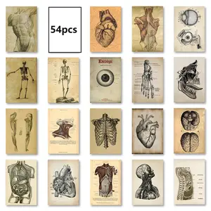 Human Organ Pattern Sticker, 54pcs/set Self Adhesive Decorative Stickers, DIY Decals for Water Bottle, Laptop, Cellphone, Phone Case, Scrapbooking, Journal Making