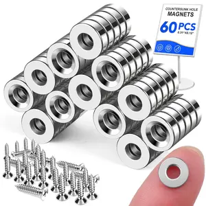 60 Pack Small Rare Earth Magnets, Round with Countersunk Hole, Matching Screws - 0.31x0.12inch