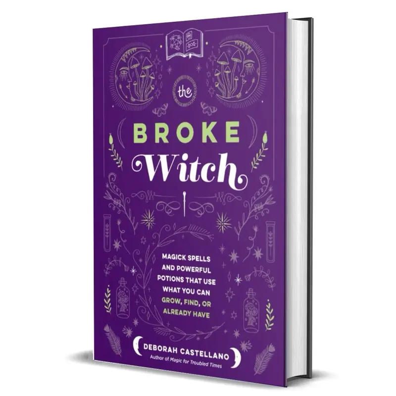 The Broke Witch by Deborah Castellano (Hardcover Book)