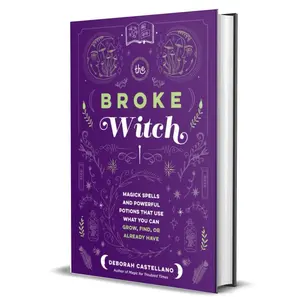 The Broke Witch by Deborah Castellano (Hardcover Book)
