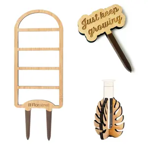 Influencer Bundle - Climber plant trellis, Della Leaf Propagation Vase, and Uplifting Plant Stake