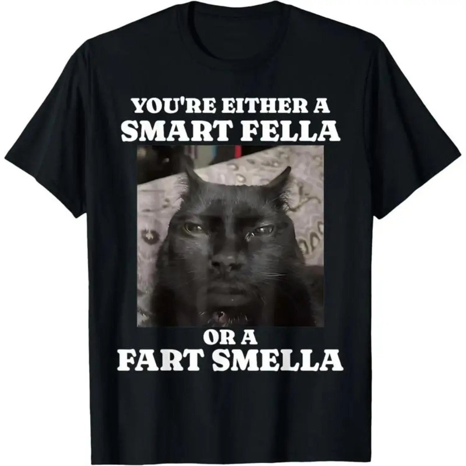 Women's Comfy Soft Round Neck Casual Cotton Short-Sleeve Streetwear T-Shirt - "You're Either a Smart Fella or a Fart Smella" Funny Cat Meme Top Crewneck Tshirt