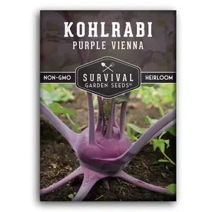 Purple Vienna Kohlrabi Seed