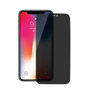 Privacy Guard (iPhone 12 Mini)