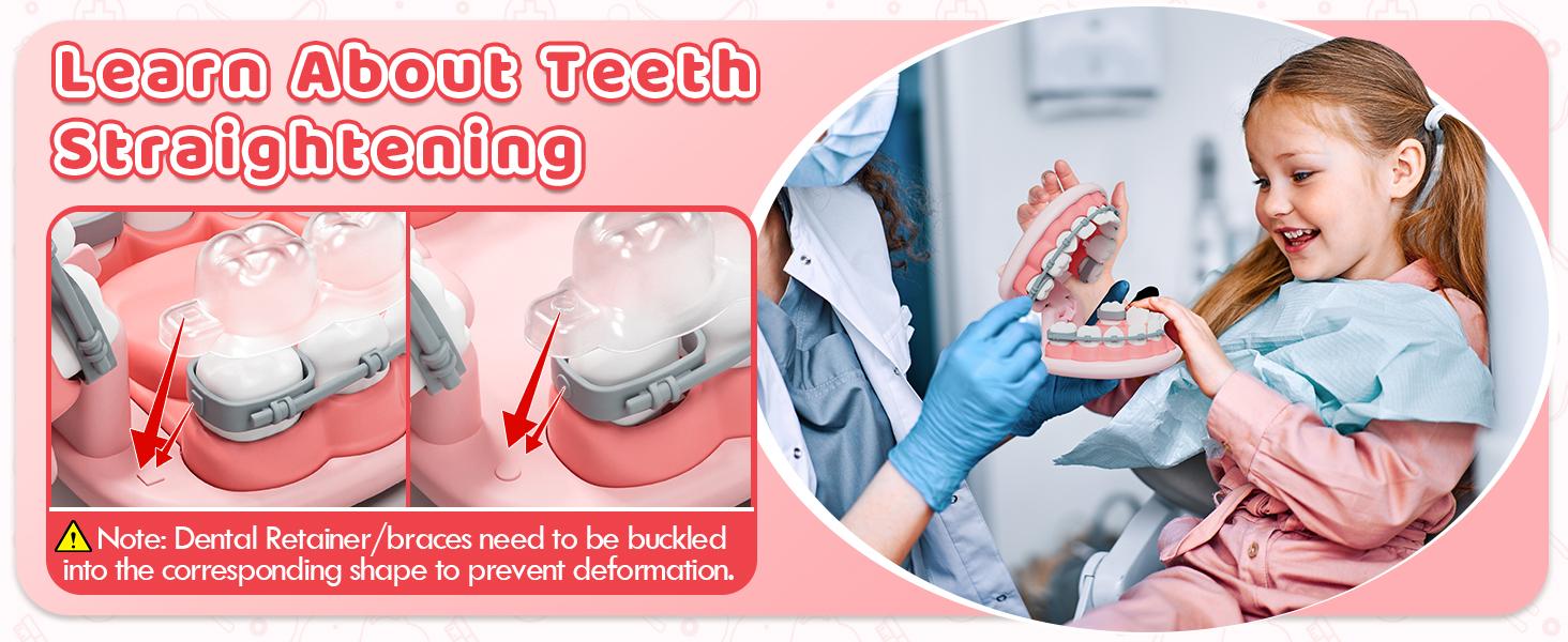 Dental Care Teaching Aids 31Pcs, Dentist Pretend Play Set for Girls, Helping Children Develop Habits of Dental Care, Safety ABS Material, Pay Attention to Teeth in Children's Growth, Avoiding Fear of Dentists, for Parent-Child Interaction, Gifts for Girls