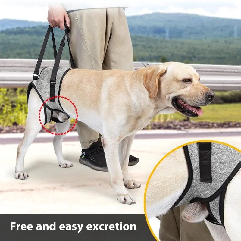 Senior Dog Rear Lift Strap, Back Leg Support Harness for Elderly Dogs Walking Stairs and Mobility Help