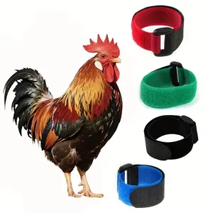Comfortable Noise-Free Rooster Collars, Chicken, Set of 4 Blue Adjustable Neck Straps, Durable Fabric, Easy Use, Prevents Screaming