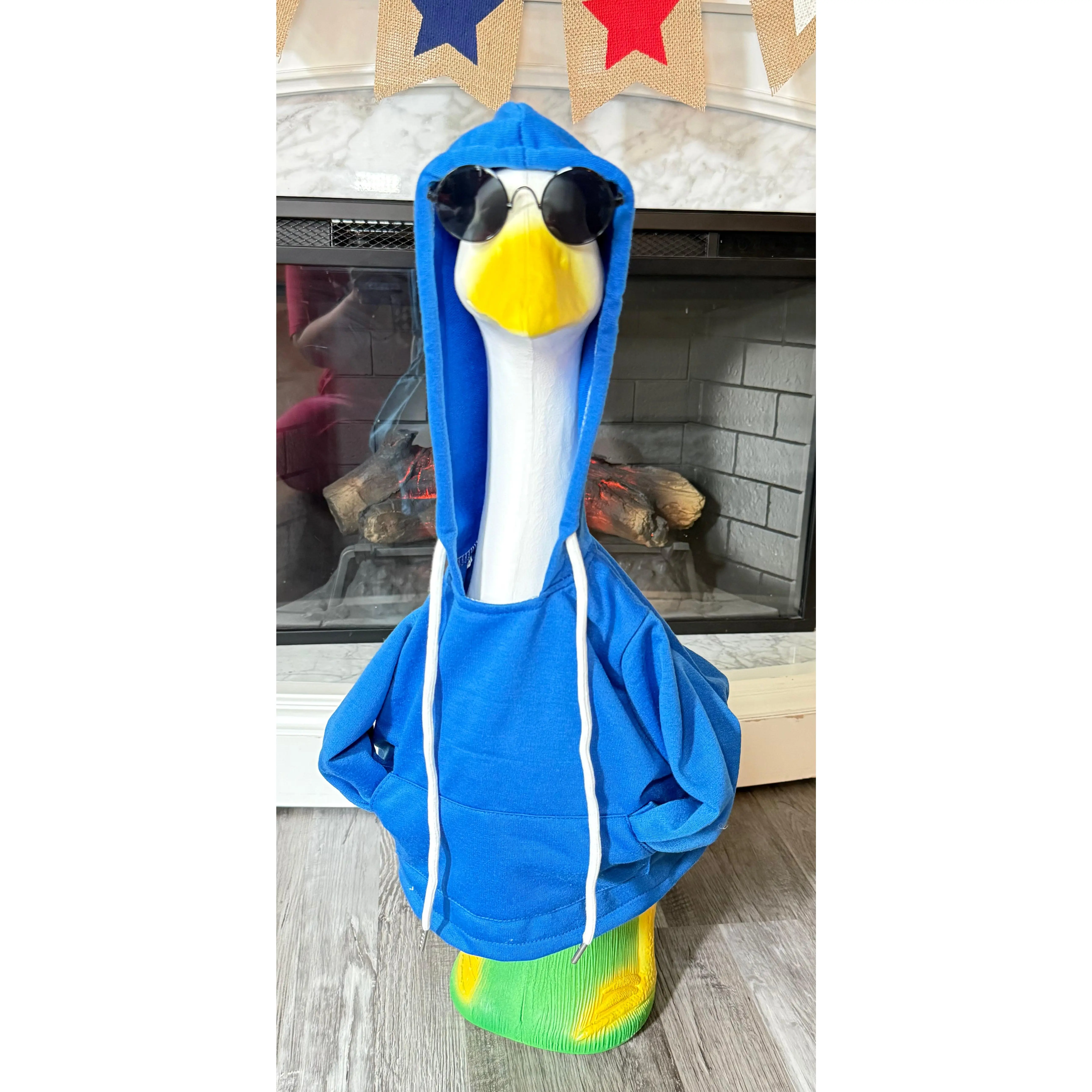 “Doesn’t Even Live Here” Goose Hoodie and Sunglasses