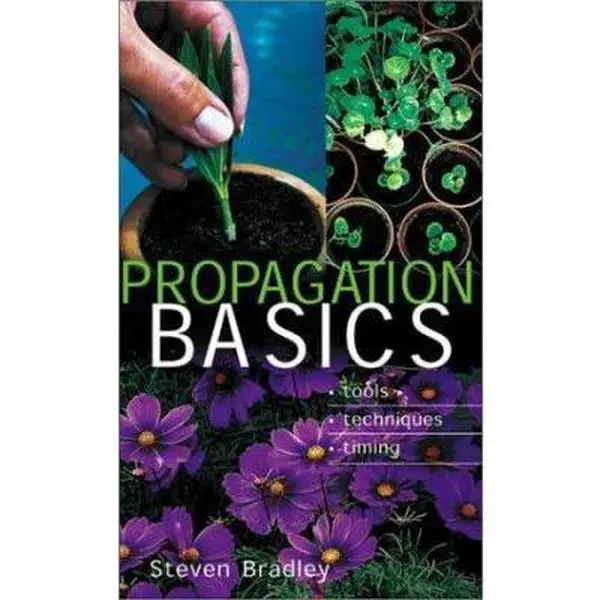 USED Book - Propagation Basics: Tools * Techniques * Timing by Steven Bradley (Paperback) - english