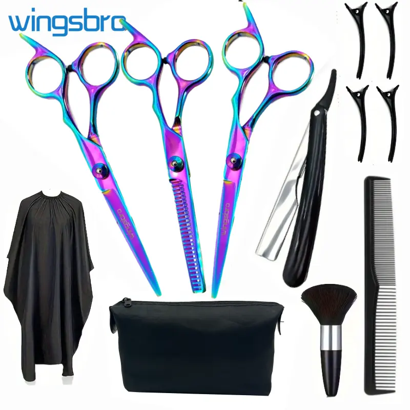 Hairdressing Scissors Kit, 6.7 inches Proefessional Haircutting Shears with Accessories for Salon Barber and Home Use