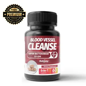 Nattokinase 2000FU & CoQ10 6-in-1 Sugar-Free Healthcare Vitamin Dietary Supplement, Blood Vessel Cleanse, Heart Health & Cardiovascular Support for Adults, 60 Capsules