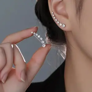925 Sterling Silver Needle Zircon Earrings, Niche Earrings, Autumn And Winter High-End Earrings