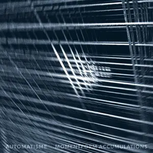 Automatisme - Momentform Accumulations  [COMPACT DISC - CD]