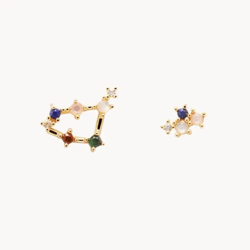 New 925 Sterling Silver Twelve Constellation Earrings Distinctive Simple Modeling Women Earrings Birthday Gift Exquisite Jewelry