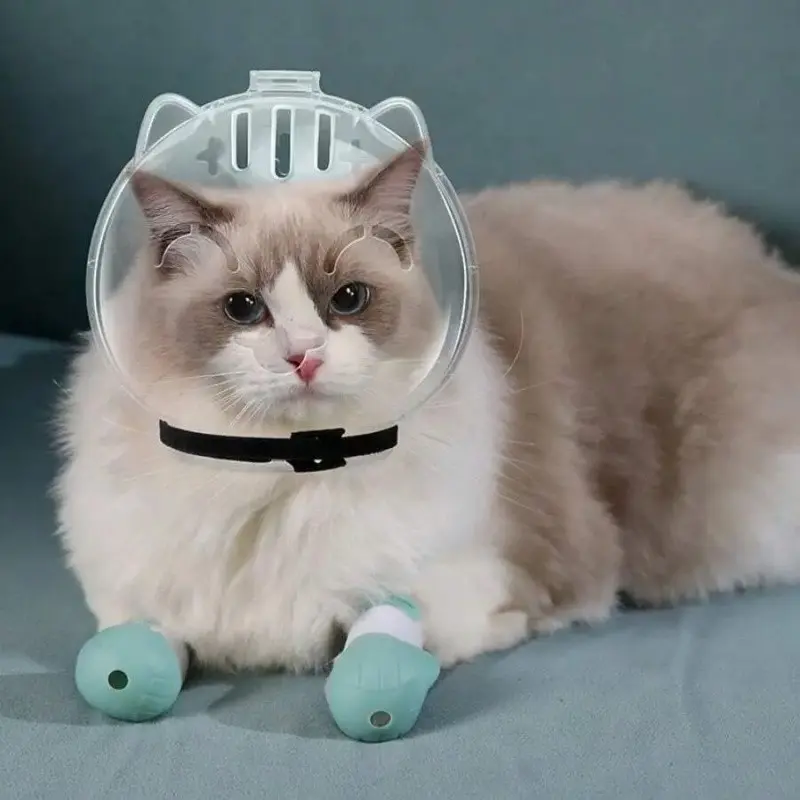 Cat anti-bite space capsule headgear, adjustable grooming cat headgear. Suitable for trimming nails, hair, and deworming, it is a Kitty Elizabethan collar that provides protection for stressed cats by preventing biting and licking. Training Aid Supplies