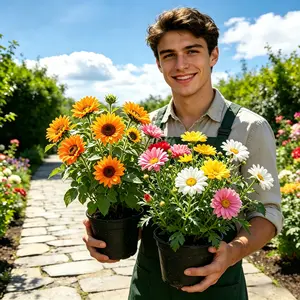 【Mixed Flower Seeds】20000 counts Rare Twin Red White Rose Flower Seeds, Suitable for Small Gardens, Patios, Balconies & Indoor Cultivation, Low-Maintenance Outdoor Ornamental Flowers, Top Choice for Horticulture
