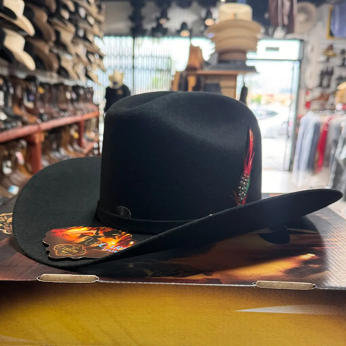 Carin Leon Hat