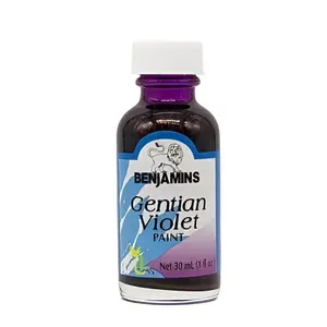 Benjamin Gentian Violet Paint