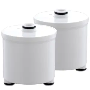 Ryamen Shower Filter Replacement Cartridges (2-Pack, 6-Month Supply)