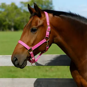 Pink Nylon Horse Halter NHPINK Fully Adjustable Fit with Brass Hardware for Horse Size Quantity Per Pack 1