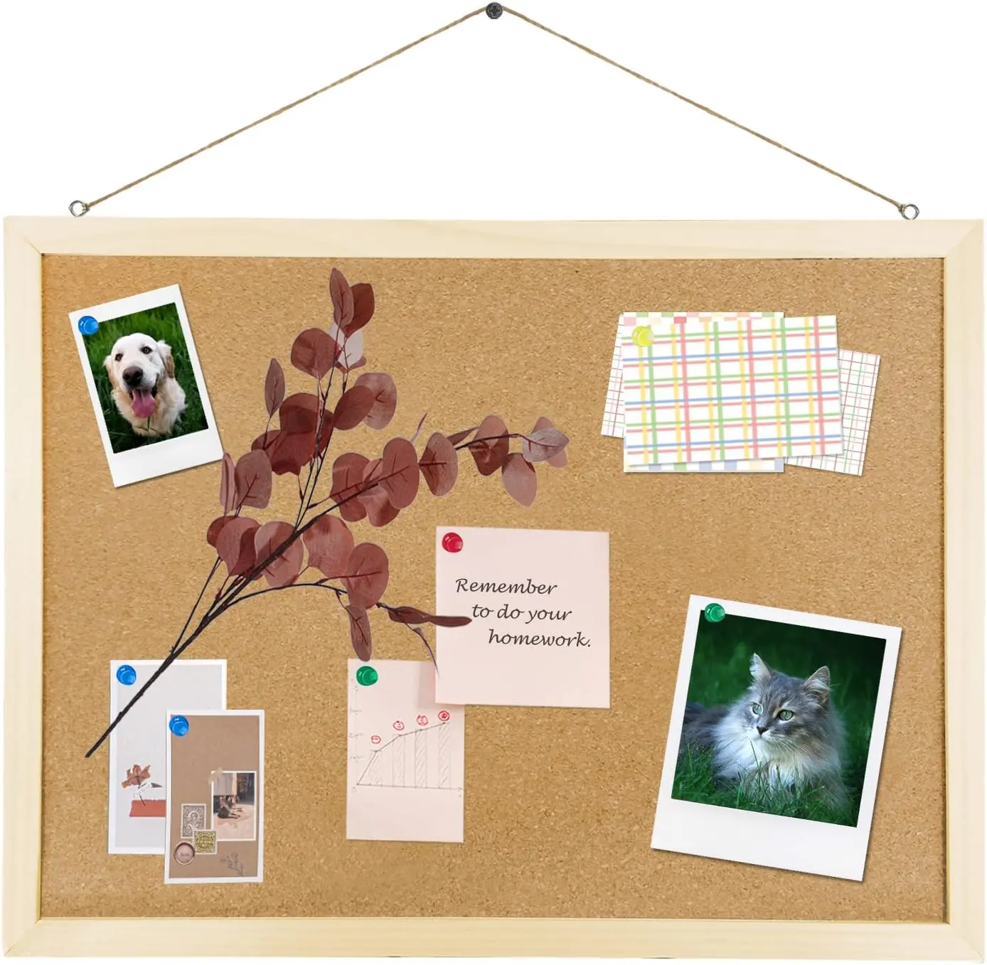 Cork Board Bulletin Board, 15.7"X 12" pin Boards for Walls, Oak Wood Finish Frame, Wall Mounted Cork Board