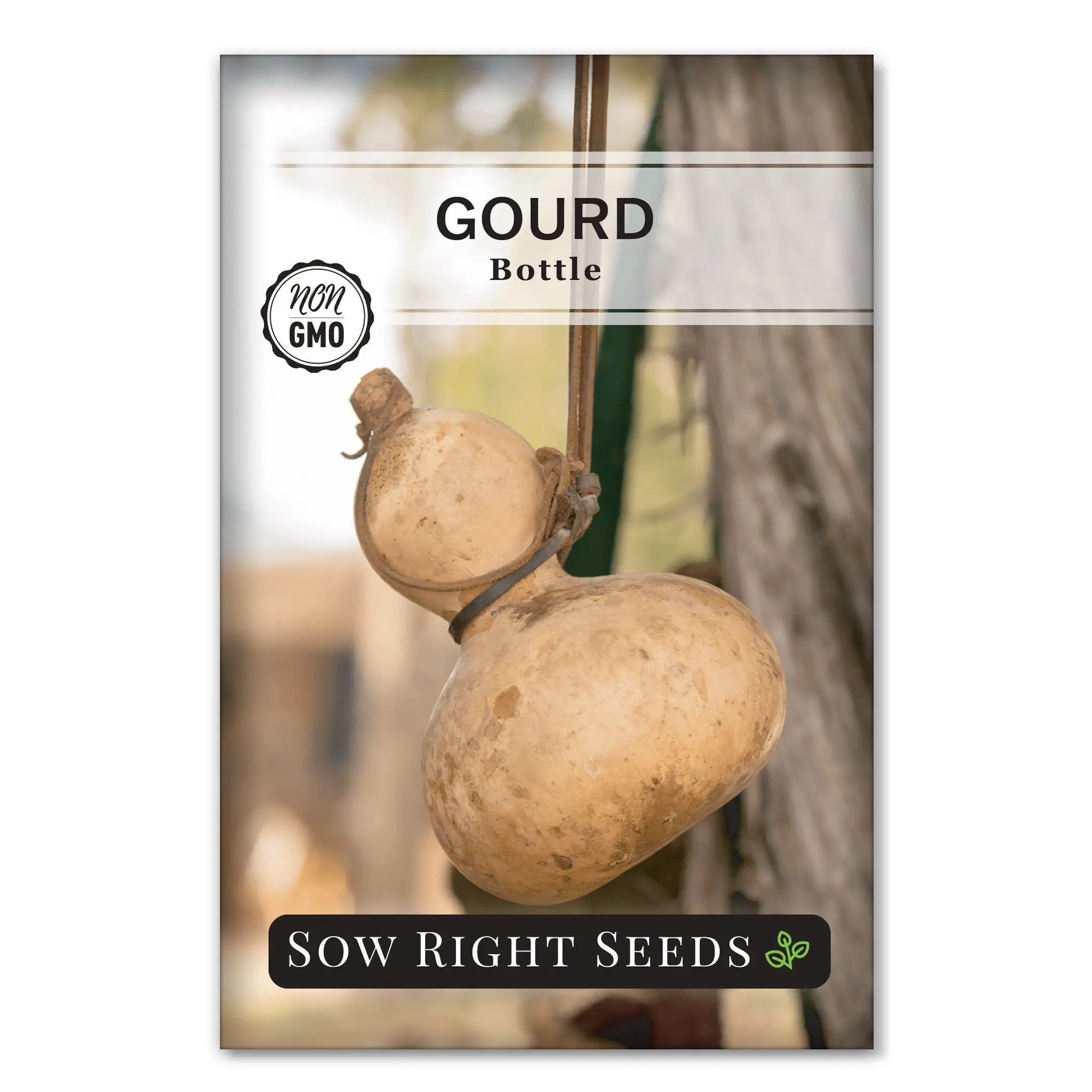 Bottle Gourd
