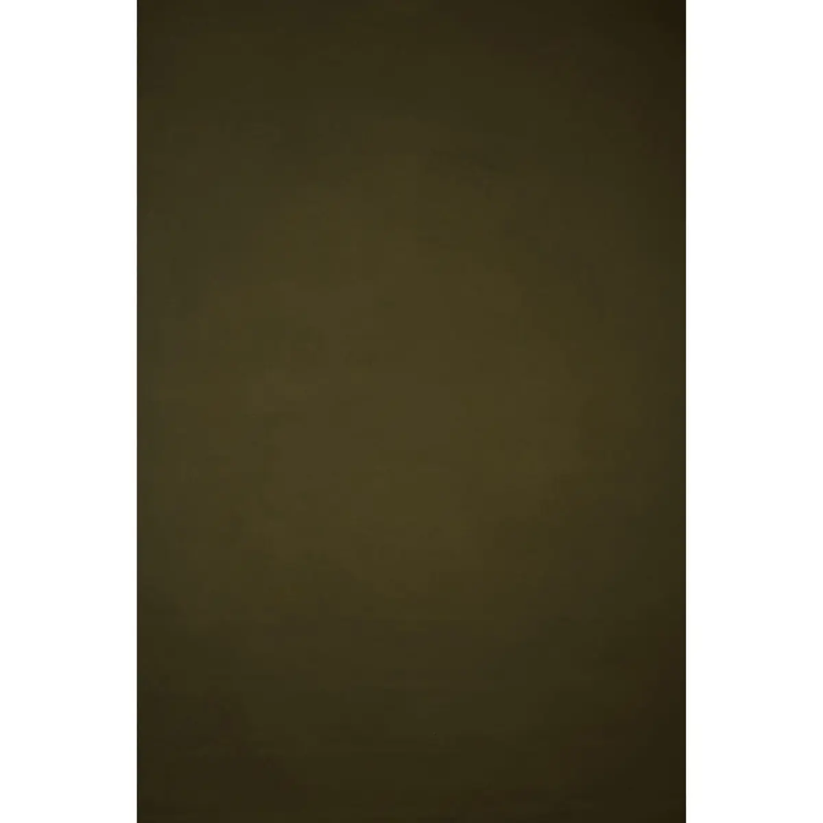 Gravity Backdrops Italian Cotton Hand-Painted Classic Collection Mid-Texture Canvas Photo Camera Backdrop, 8.9x16.4ft, Olive Green