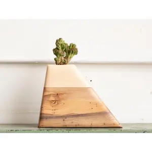 Small Planturn™ Cremation Urn in California Sycamore