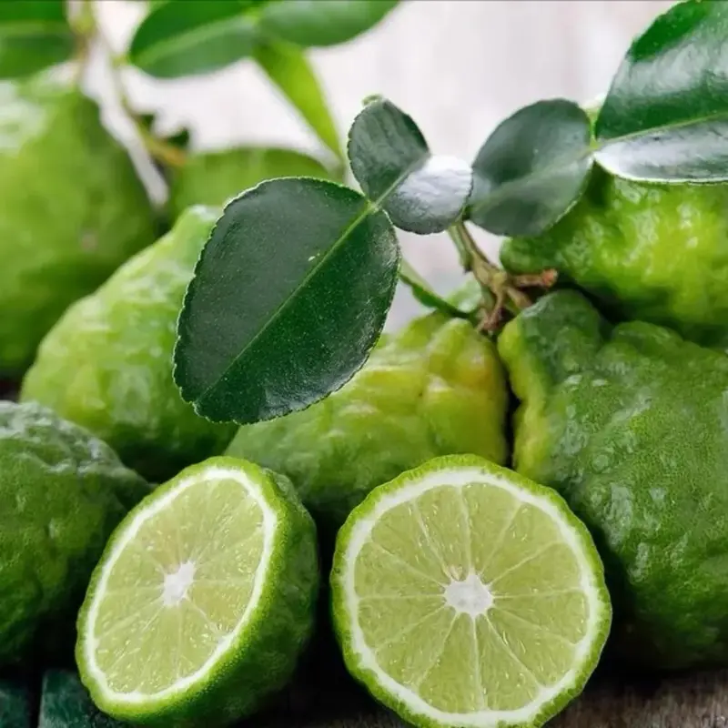 12-Piece Bergamot Lemon