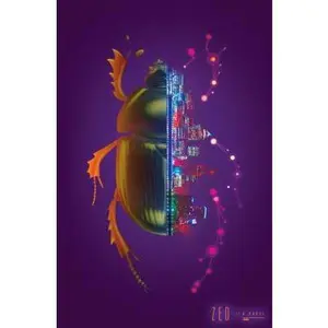 USED-Zed by Kavenna, Joanna (Hardcover)