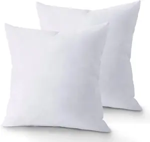 20 x 20 Throw Pillow Insert - Pack of 2 White, Down Alternative Pillow Inserts for Decorative Pillow Covers, Throw Pillows for Bed, Couch Pillows for Living Room (Pack of 2)