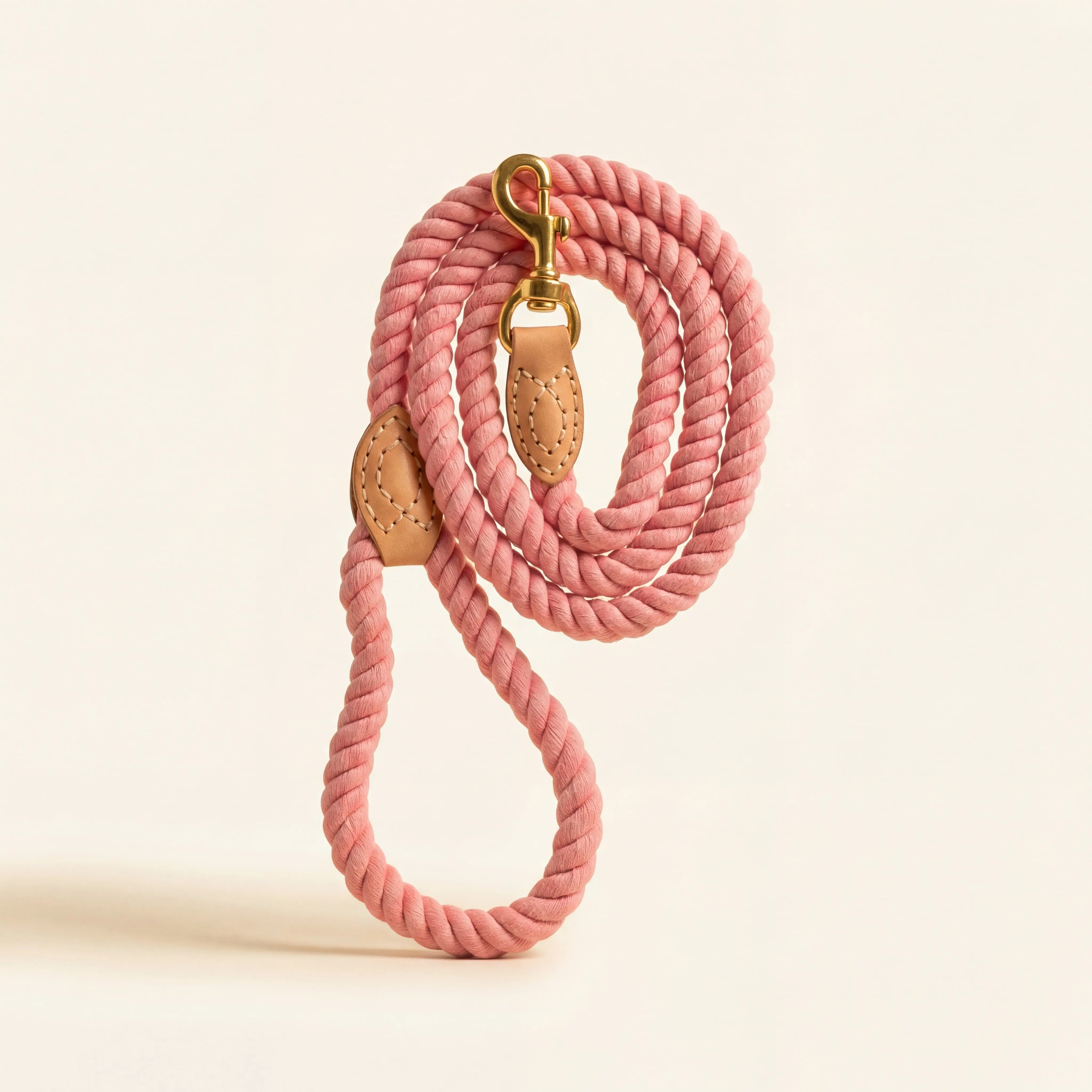 Braided Dog Leash