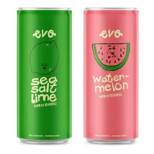 Evo Energy Beverage - Sea Salt Lime & Watermelon Flavors Natural Caffeine Electrolytes No Artificial Ingredients Lightly Carbonated Perfect for Hydration Energy Boost