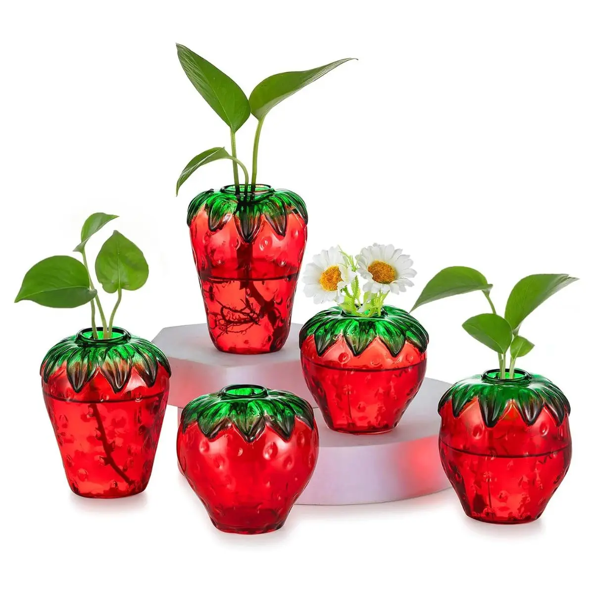 5PCS Strawberry Glass Propagation Vases – Cute Hydroponic Plant Holders for Home & Office Decor