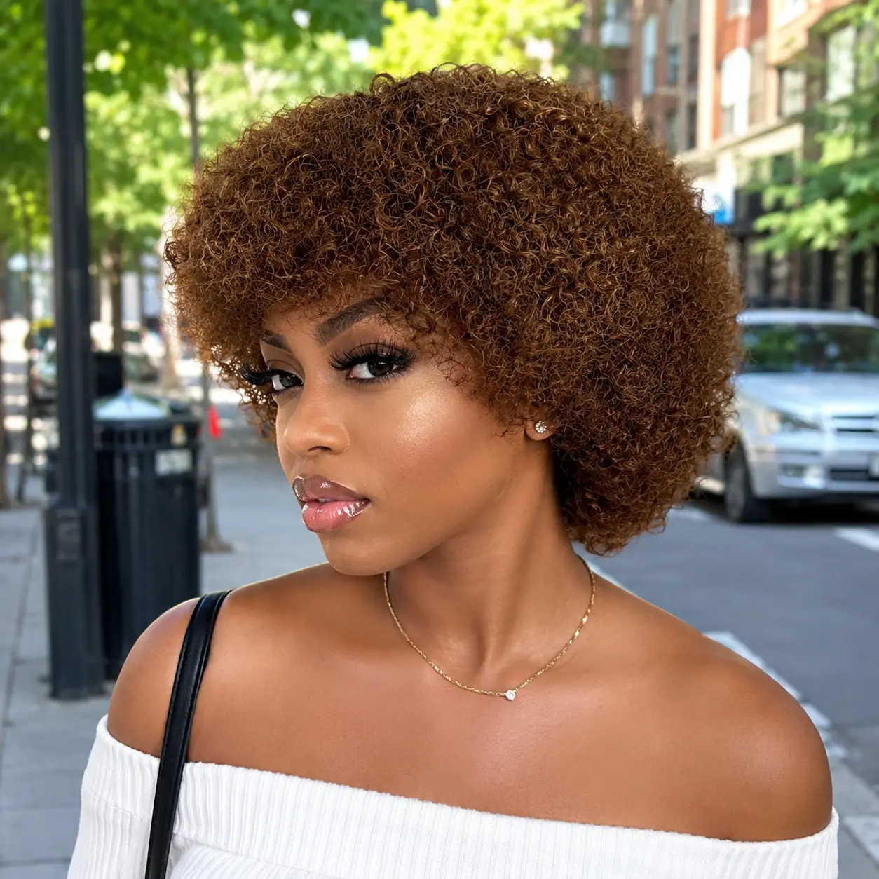 Vietnamese Hair Women's Glueless Human Hair 6 inch Short Afro Kinky Curly Wig Brown Color Wig 180% Density Pixie Curl Put-On & Go Wig Soft Fluffy 70s-80s Cosplay/Daily Use Allofbob Full Machine Made Human Hair Wig