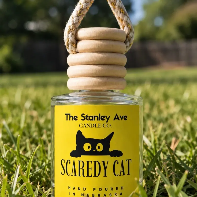 Scaredy Cat Car Air Diffuser