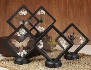 Insect Art Butterfly Display Frame with Floral Decor, Aesthetic Nature Home Decor, Crystal Shelf Accent, Unique Curio Gift, Standing Table Display,m