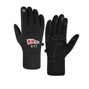 1 pair with ism Chicago Windy City winter gloves thermal gloves Touch Screen Soft Touch Winter Activities Adults Warmest Christmas gifts Comfortable Fashion