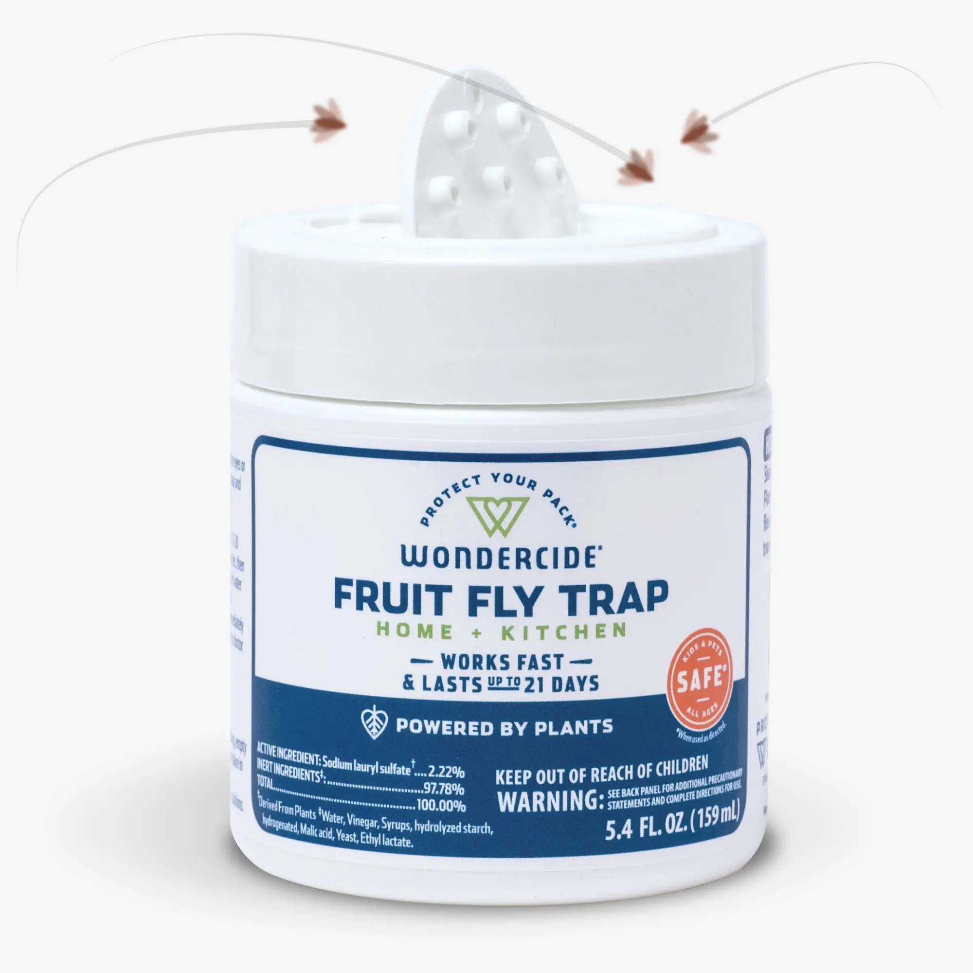 Fruit Fly Trap for Home + Kitchen Fruit Fly Trap for Home + Kitchen