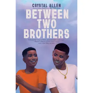 Between Two Brothers by Crystal Allen [Hardback Book]