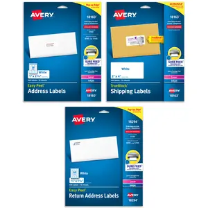 Avery White Address Labels with Permanent Adhesive, Sure Feed, 3 Sizes: 1"x 2 5/8" (300 Labels,18160), 2"x 4" (100 Labels,18163), 2/3"x 1 3/4" (600 Labels,18294), 1 Pack of Each, 1,000 Labels Total