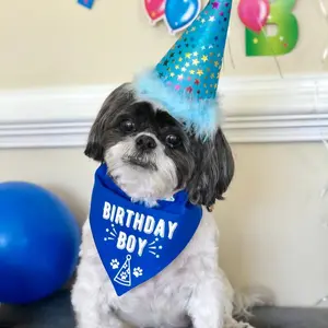Reversible Birthday Boy Dog Bandana, Dog Bandana for Birthday, Dog Birthday Boy, Slip on, Matching Pet & Owner, Birthday Bandana, Blue Birthday Bandana, Dog or Cat Birthday Gift