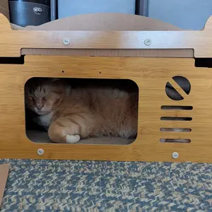 FANJUN-AMTECH 2 in 1 House & Scratch Board, 1 Set Wooden Bed with Scratcher, Durable Double Layer Bed, Pet Furniture for Indoor Spacious cool cat stuff cozy cat bed cat scratcher indoor cat accessories cat toys cat accessories