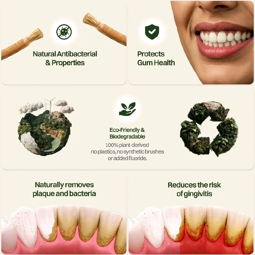 NATURAL SMILE  Natural toothbrush MISWAK